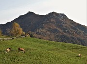 09 Cavalli al pascolo mattutino con  vista sul Monte Gioco